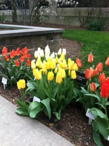 photo-9