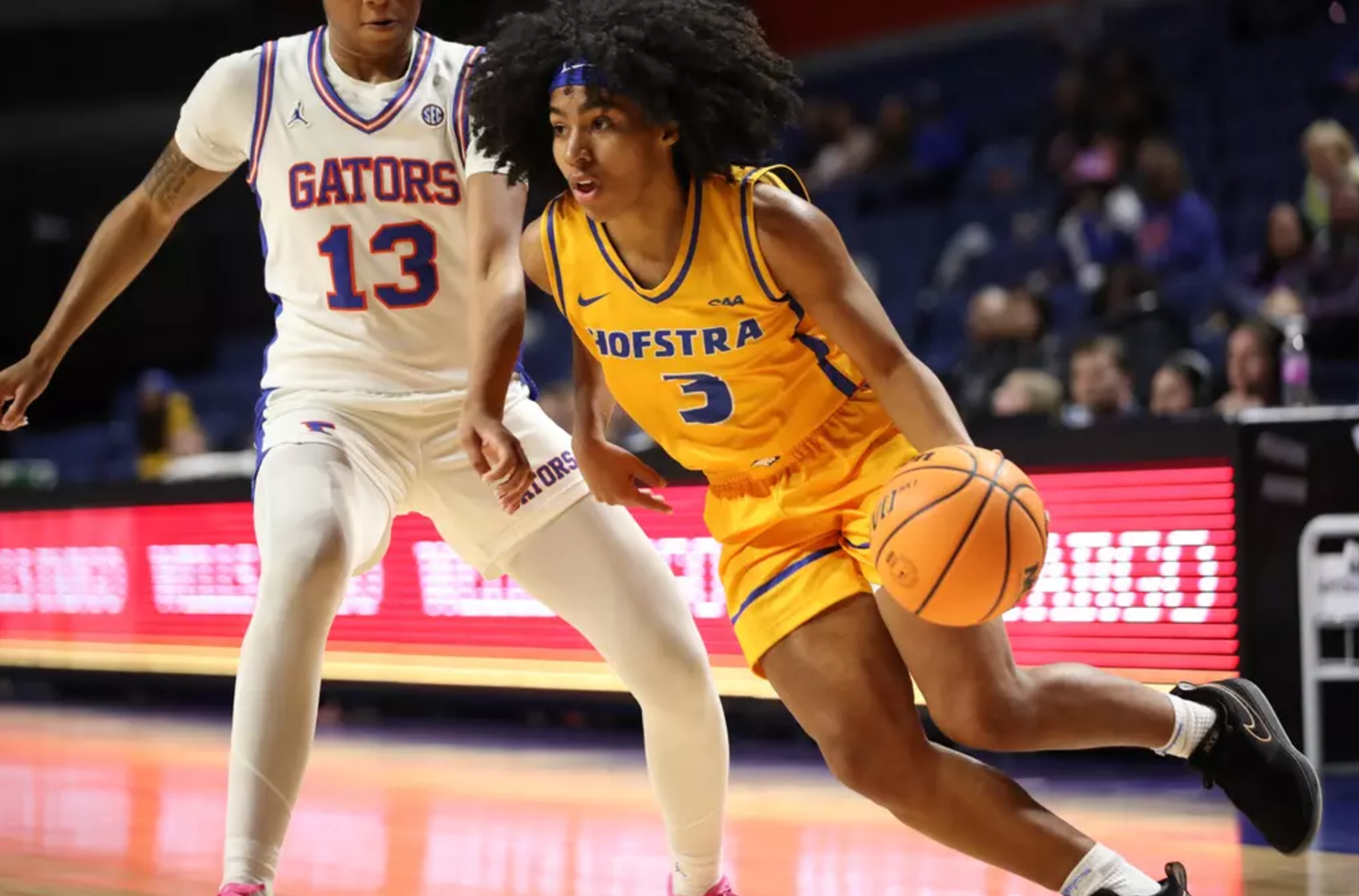 Hofstra Women’s Basketball Loses to Florida