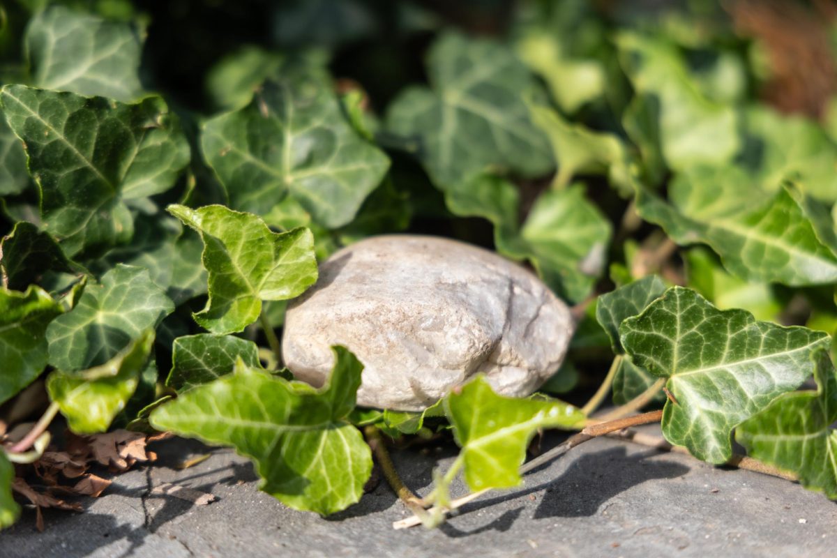 Poem: The rocks
