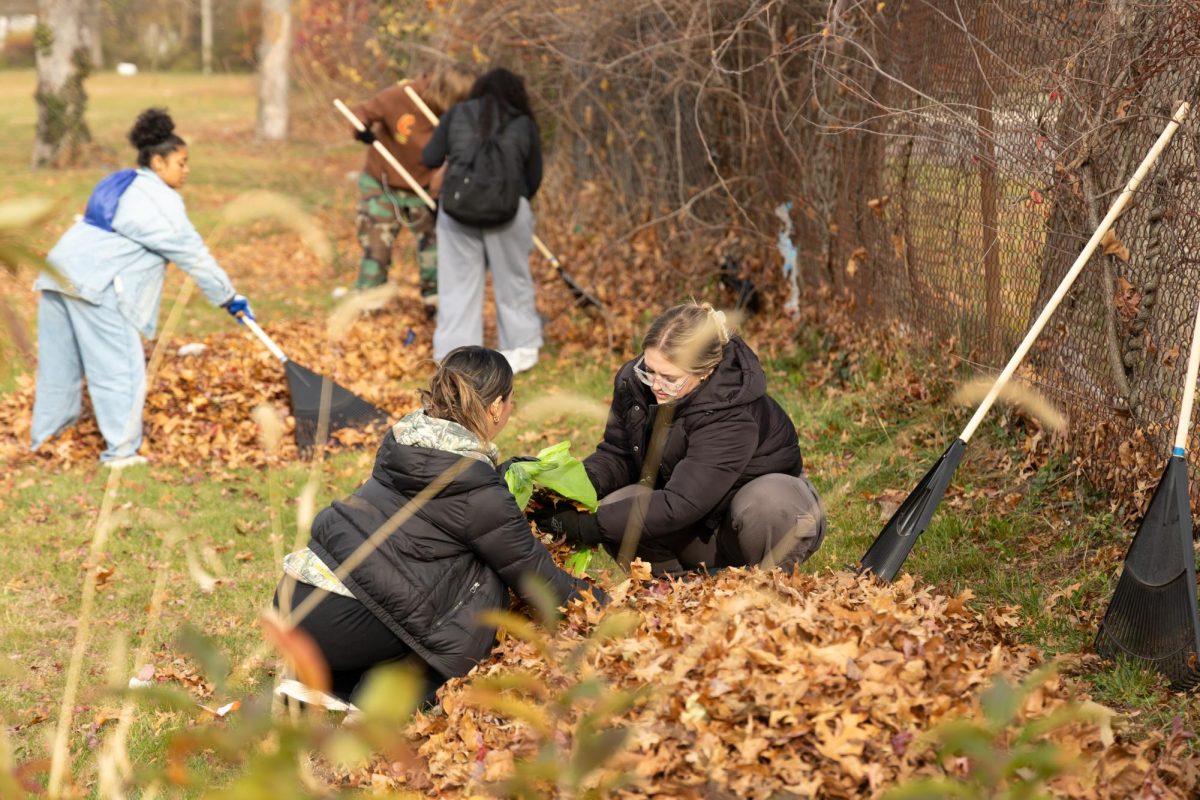 Hofstra University’s annual Shake-A-Rake event brought students from different organizations together to help the community.