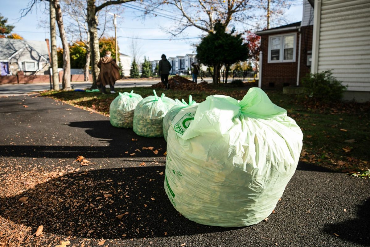 The annual Shake-A-Rake strengthens bonds with the Hofstra community and surrounding communities.