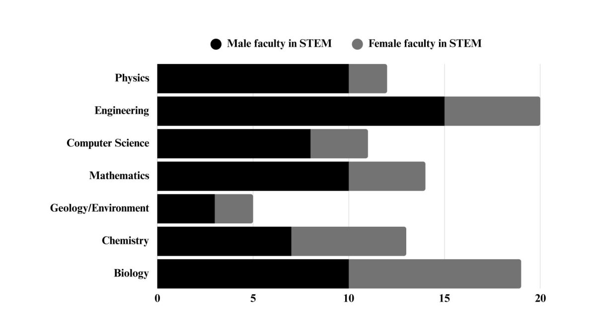 There is still a disparity in the amount of male versus female staff in Hofstra University’s science, technology, engineering and mathematics departments.