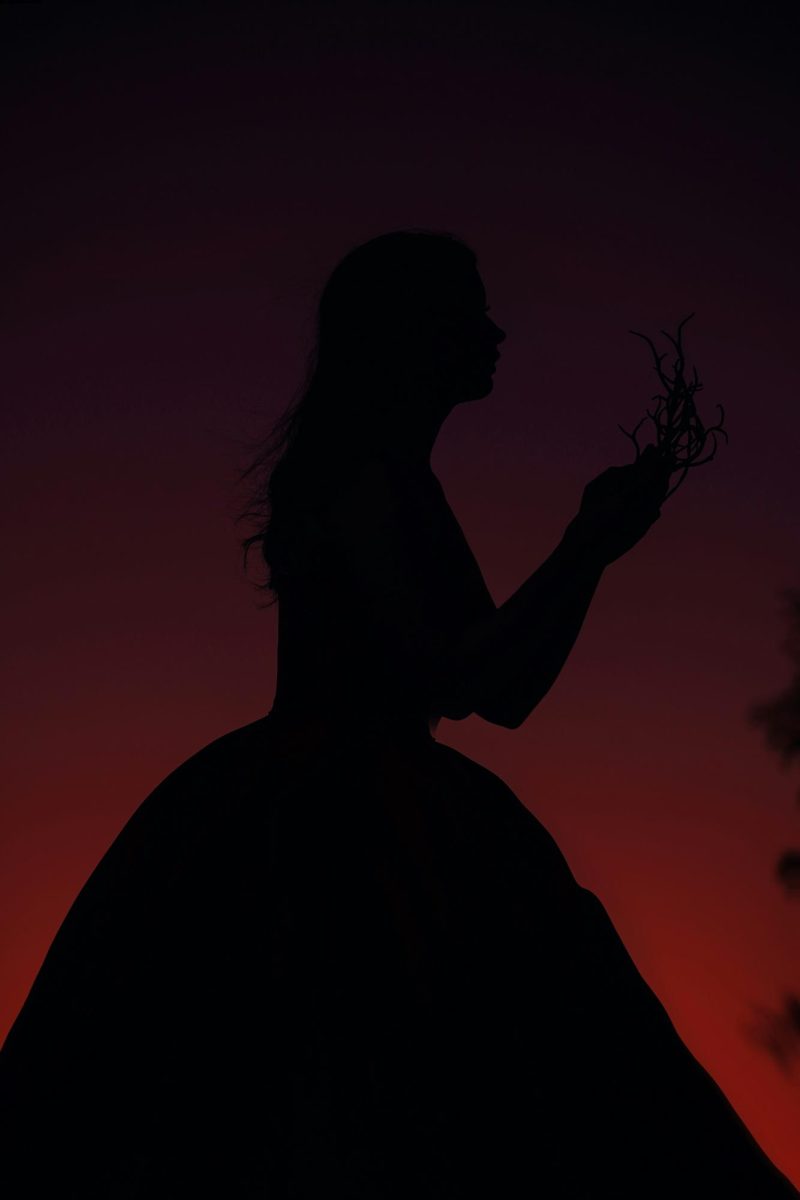 Photo by Miguel Gonzalez via Unsplash