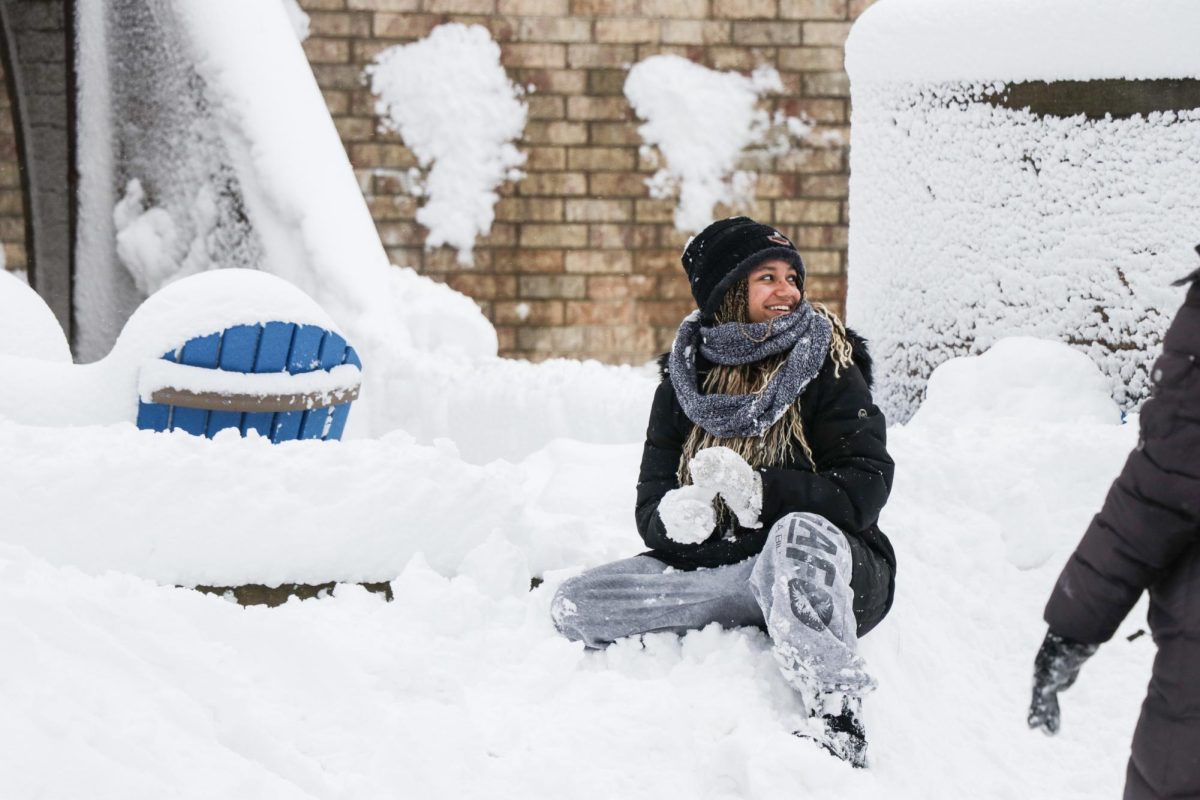 Blizzard hits Hofstra