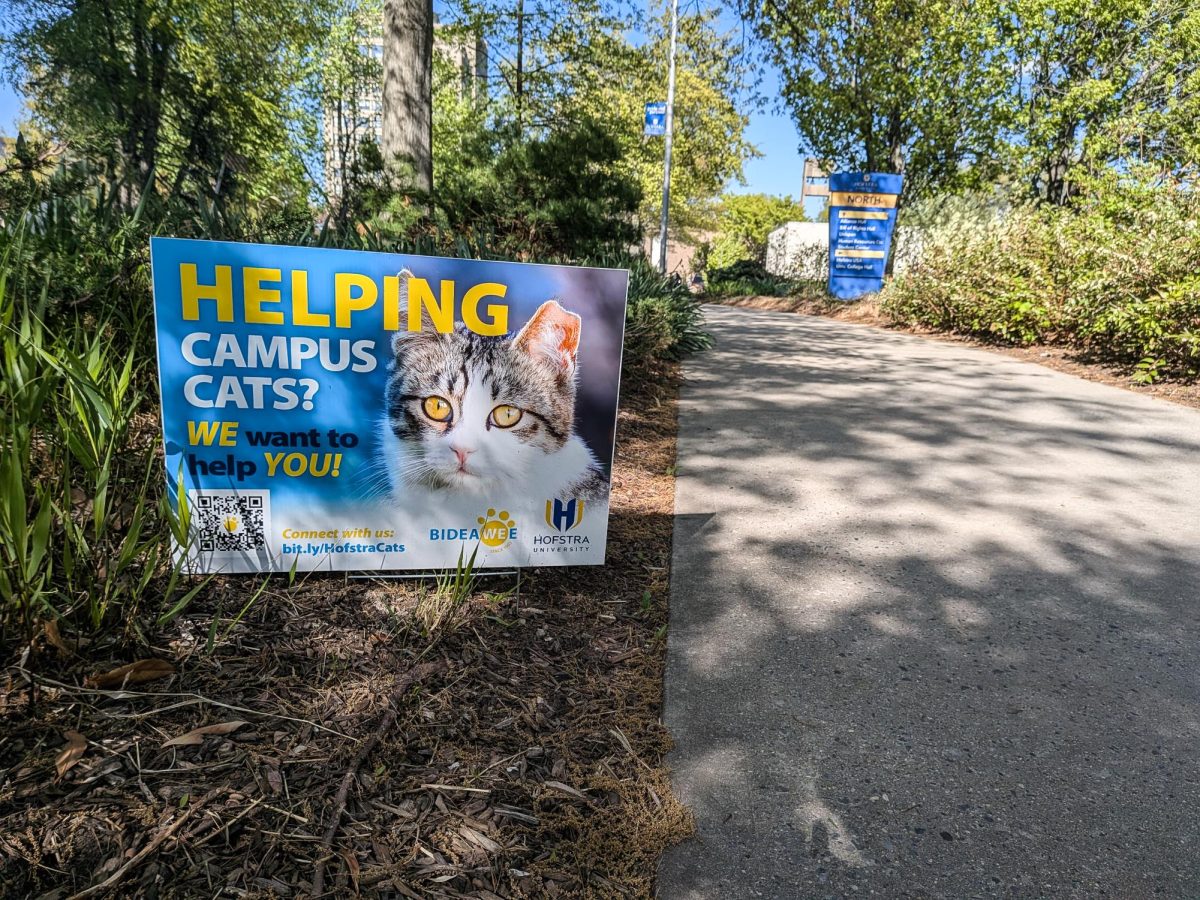 Bideawee placed several signs around campus for caretakers of the cats to offer helpful information via QR code.